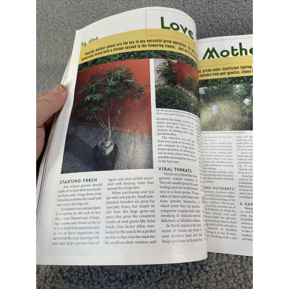CANNABIS CULTURE MAGAZINE‎ JULY/AUGUST 2000